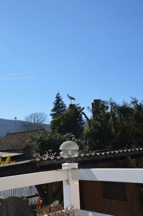 Gite Les Glycines 68230 Turckheim Buitenkant foto